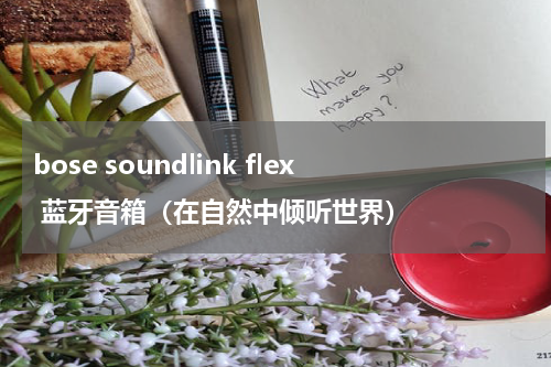 bose soundlink flex 蓝牙音箱（在自然中倾听世界）