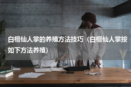 白檀仙人掌的养殖方法技巧（白檀仙人掌按如下方法养殖）