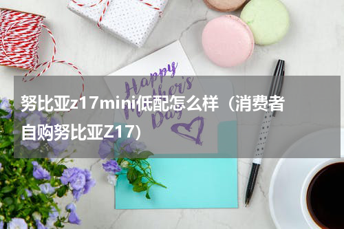 努比亚z17mini低配怎么样（消费者自购努比亚Z17）
