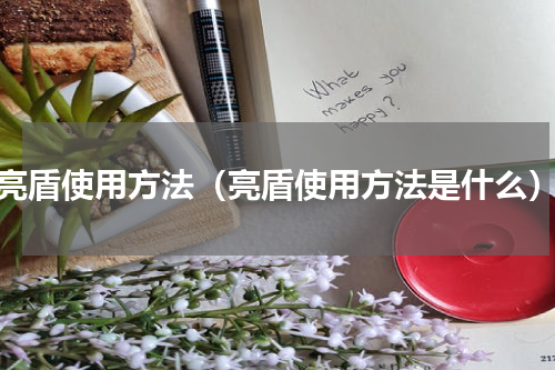 亮盾使用方法（亮盾使用方法是什么）