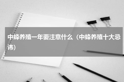 中蜂养殖一年要注意什么（中蜂养殖十大忌讳）