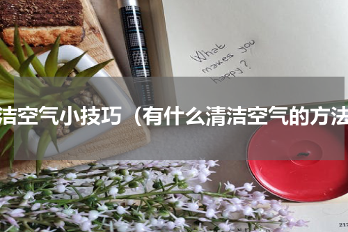清洁空气小技巧（有什么清洁空气的方法）