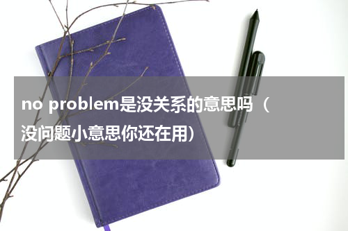 no problem是没关系的意思吗（没问题小意思你还在用）