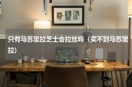 只有马苏里拉芝士会拉丝吗（买不到马苏里拉）