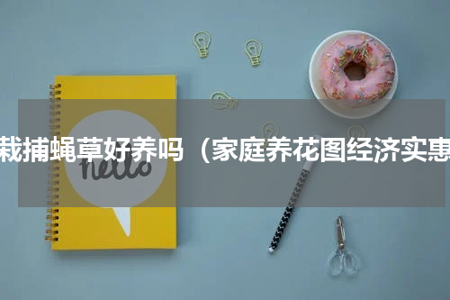 盆栽捕蝇草好养吗（家庭养花图经济实惠）