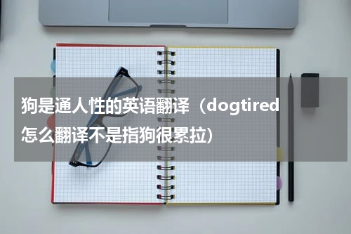狗是通人性的英语翻译（dogtired怎么翻译不是指狗很累拉）