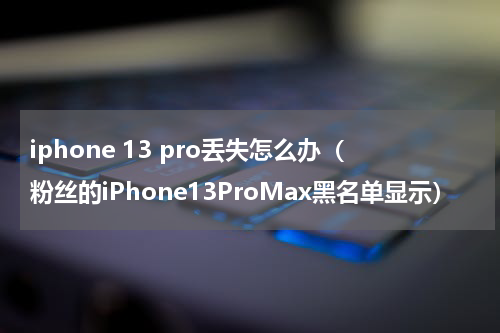iphone 13 pro丢失怎么办（粉丝的iPhone13ProMax黑名单显示）