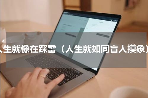 人生就像在踩雷（人生就如同盲人摸象）