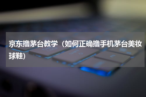 京东撸茅台教学（如何正确撸手机茅台美妆球鞋）