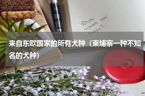 来自东欧国家的所有犬种（柬埔寨一种不知名的犬种）