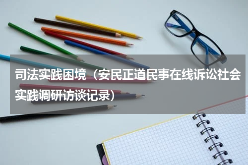 司法实践困境（安民正道民事在线诉讼社会实践调研访谈记录）