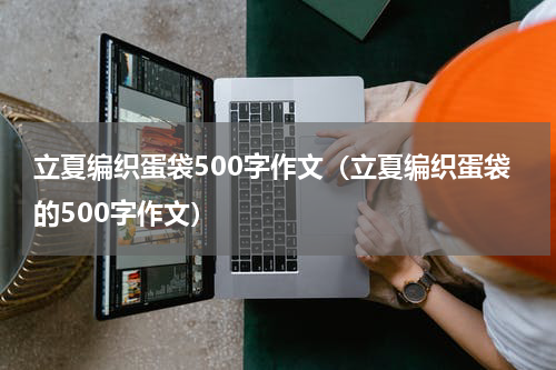 立夏编织蛋袋500字作文（立夏编织蛋袋的500字作文）