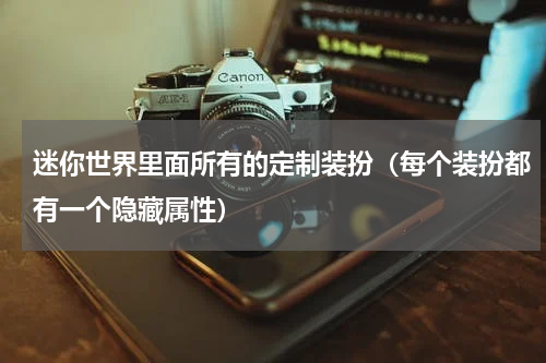 迷你世界里面所有的定制装扮（每个装扮都有一个隐藏属性）