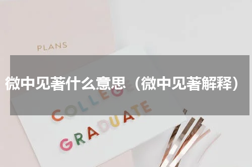 微中见著什么意思（微中见著解释）