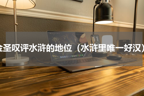 金圣叹评水浒的地位（水浒里唯一好汉）