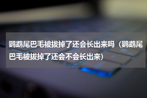 鹦鹉尾巴毛被拔掉了还会长出来吗（鹦鹉尾巴毛被拔掉了还会不会长出来）