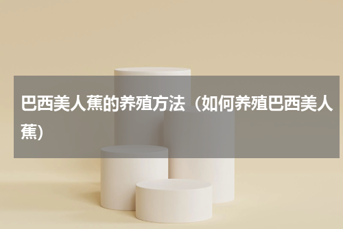 巴西美人蕉的养殖方法（如何养殖巴西美人蕉）
