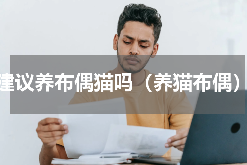 建议养布偶猫吗（养猫布偶）