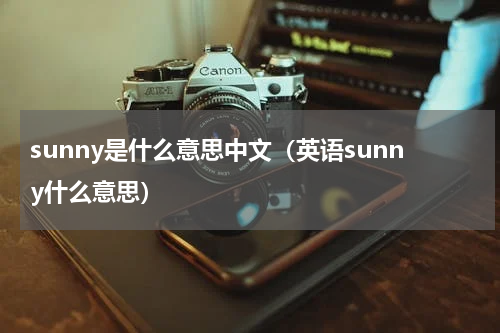sunny是什么意思中文（英语sunny什么意思）