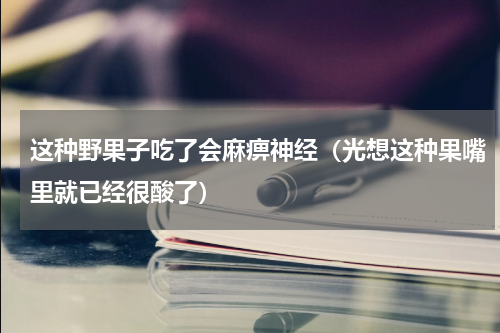 这种野果子吃了会麻痹神经（光想这种果嘴里就已经很酸了）
