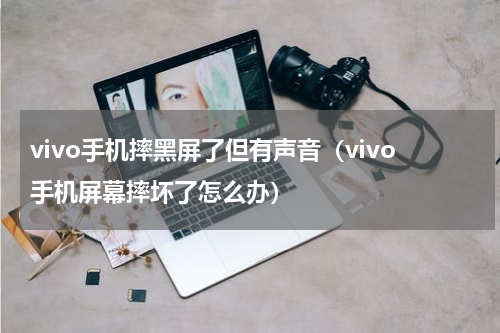 vivo手机摔黑屏了但有声音（vivo手机屏幕摔坏了怎么办）