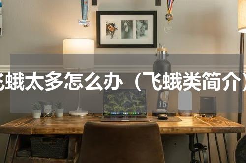 飞蛾太多怎么办（飞蛾类简介）
