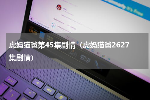 虎妈猫爸第45集剧情（虎妈猫爸2627集剧情）