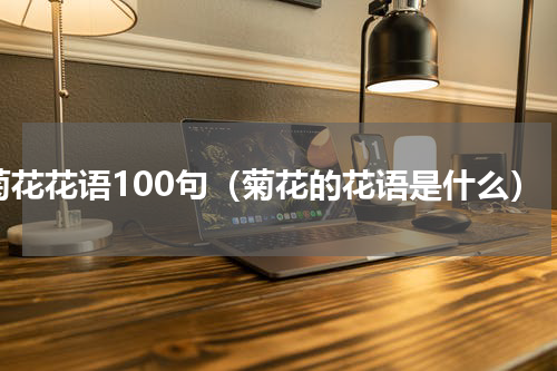 菊花花语100句（菊花的花语是什么）