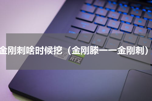 金刚刺啥时候挖（金刚滕一一金刚刺）
