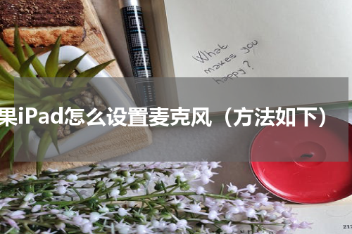 苹果iPad怎么设置麦克风（方法如下）