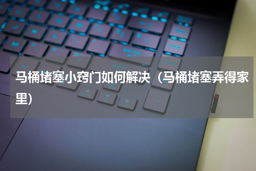 马桶堵塞小窍门如何解决（马桶堵塞弄得家里）