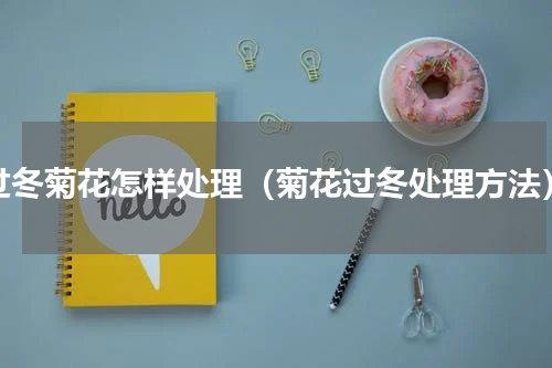过冬菊花怎样处理（菊花过冬处理方法）