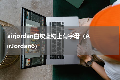 airjordan白灰蓝钩上有字母（AirJordan6）