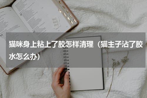 猫咪身上粘上了胶怎样清理（猫主子沾了胶水怎么办）