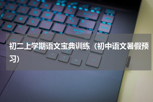 初二上学期语文宝典训练（初中语文暑假预习）