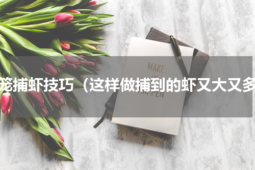 地笼捕虾技巧（这样做捕到的虾又大又多）