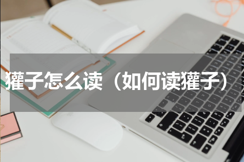 獾子怎么读（如何读獾子）