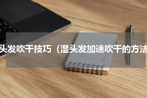湿头发吹干技巧（湿头发加速吹干的方法）
