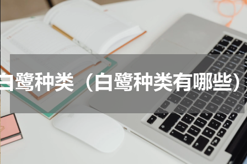 白鹭种类（白鹭种类有哪些）