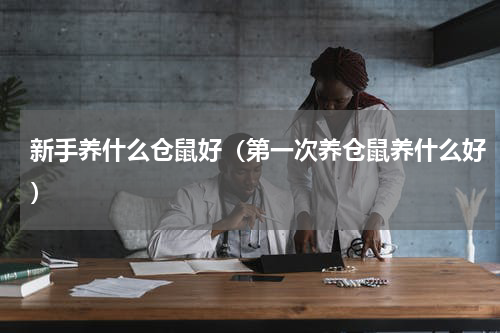 新手养什么仓鼠好（第一次养仓鼠养什么好）