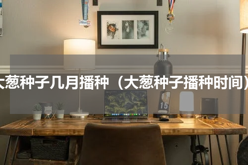 大葱种子几月播种（大葱种子播种时间）