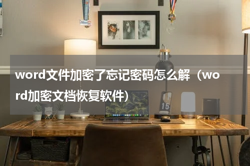 word文件加密了忘记密码怎么解（word加密文档恢复软件）