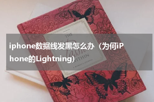 iphone数据线发黑怎么办（为何iPhone的Lightning）