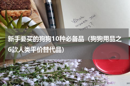 新手要买的狗狗10种必备品（狗狗用品之6款人类平价替代品）
