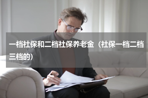 一档社保和二档社保养老金（社保一档二档三档的）