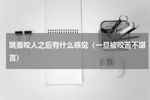 跳蚤咬人之后有什么感觉（一旦被咬苦不堪言）