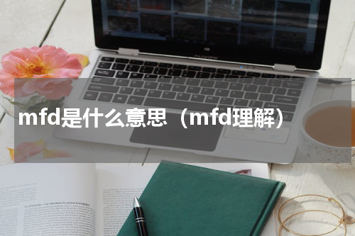 mfd是什么意思（mfd理解）