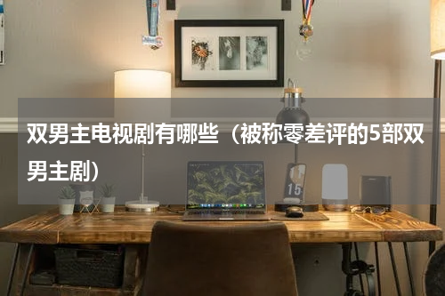 双男主电视剧有哪些（被称零差评的5部双男主剧）