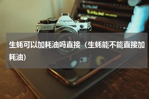 生蚝可以加耗油吗直接（生蚝能不能直接加耗油）