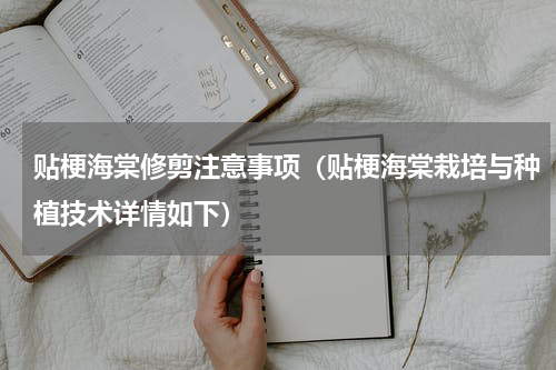 贴梗海棠修剪注意事项（贴梗海棠栽培与种植技术详情如下）